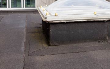 disadvantages of New Ridley flat roofs