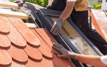 replacement New Ridley roof windows