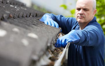 cleaning and inspecting New Ridley roofs