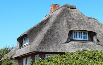 thatch roofing New Ridley, Northumberland