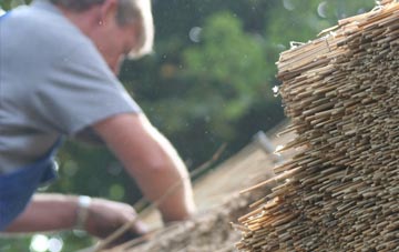 professional New Ridley thatchers