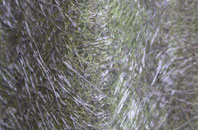New Ridley fibreglass roof work