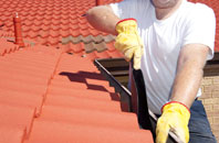 New Ridley roof cleaners