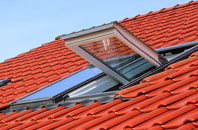 New Ridley roof window